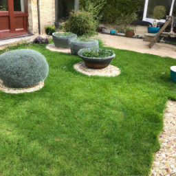 Techniques de taille pour maintenir un jardin esthétique et en bonne santé Montigny-le-Bretonneux